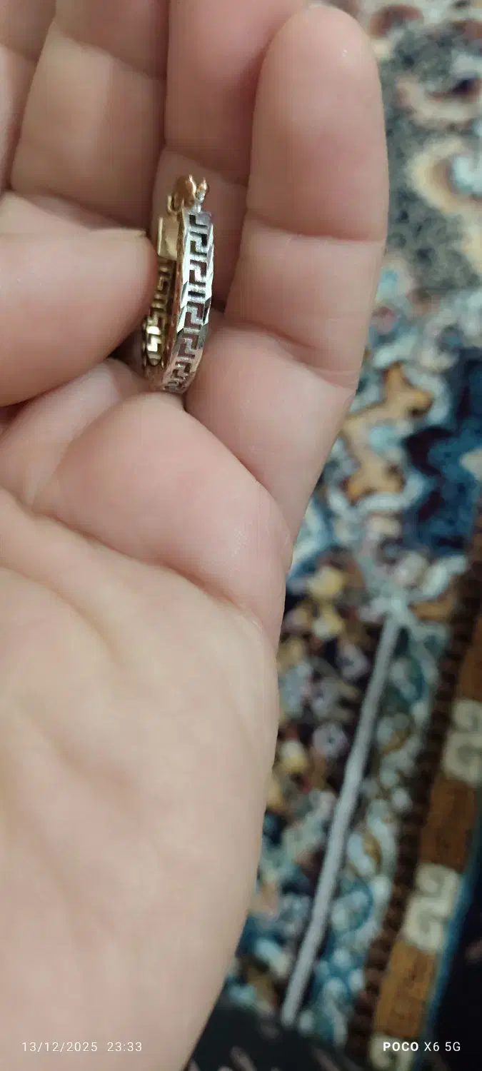 یک لنگه گوشواره گم کردیم به یابنده مژدگانی میدهیم|اشیا|قروه, |دیوار