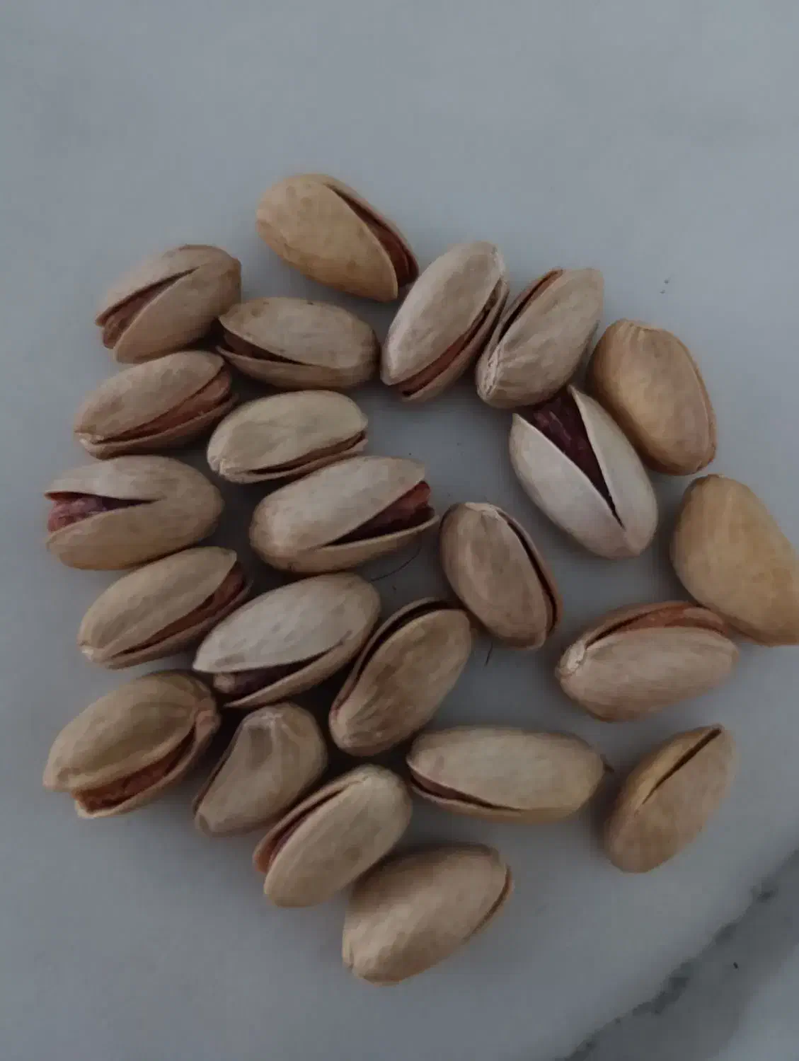 پوست پسته وپسته ی درجه ی یک|خوردنی و آشامیدنی|سبزوار, غرب نیروگاه|دیوار