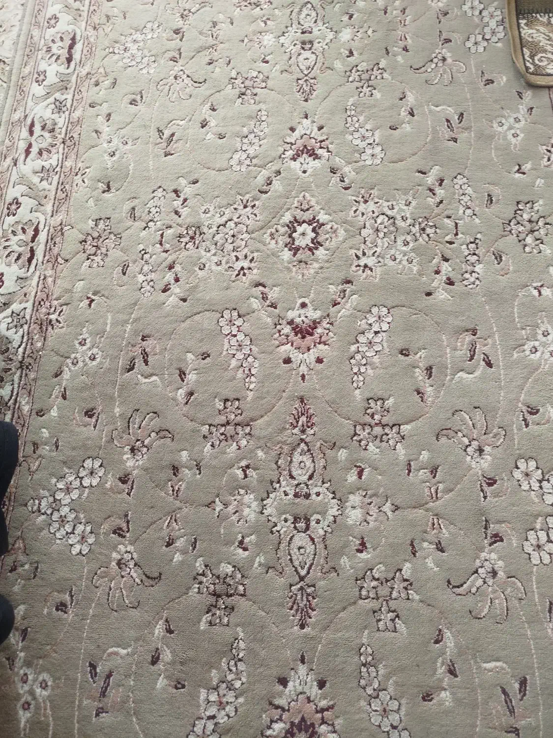 کناره فرش گردویی|گلیم، جاجیم، گبه|لنجان, |دیوار