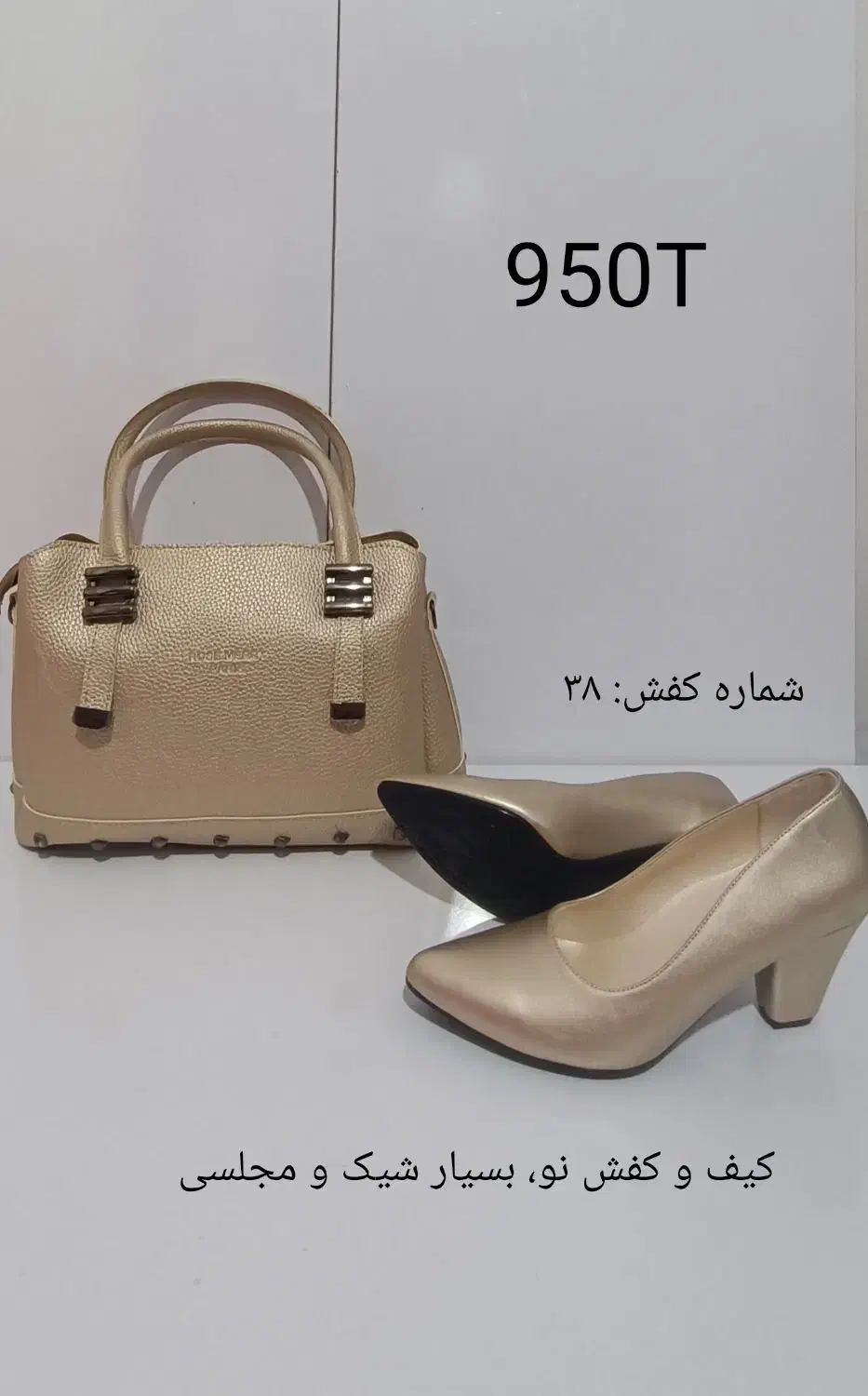 کیف و کفش|کیف، کفش، کمربند|آمل, |دیوار