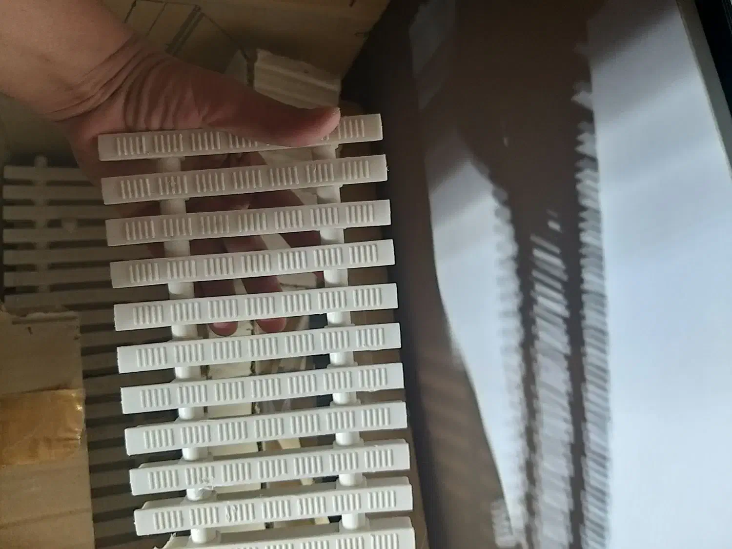 استخر|غواصی و ورزش‌های آبی|مشهد, بهشت|دیوار