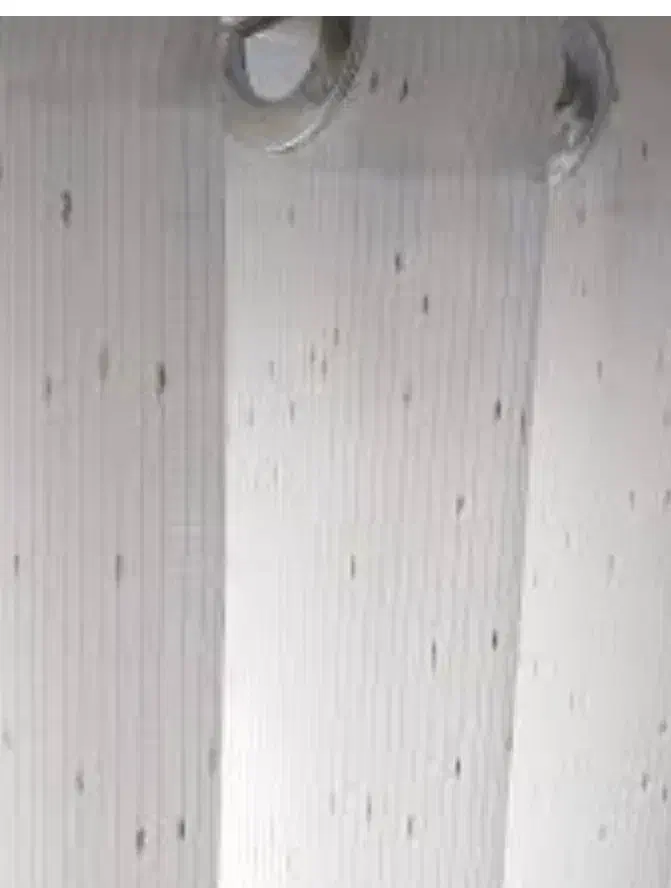 فروش پرده زیر قیمت همه جا|پرده، رانر، رومیزی|لاهیجان, کوی آزادگان|دیوار