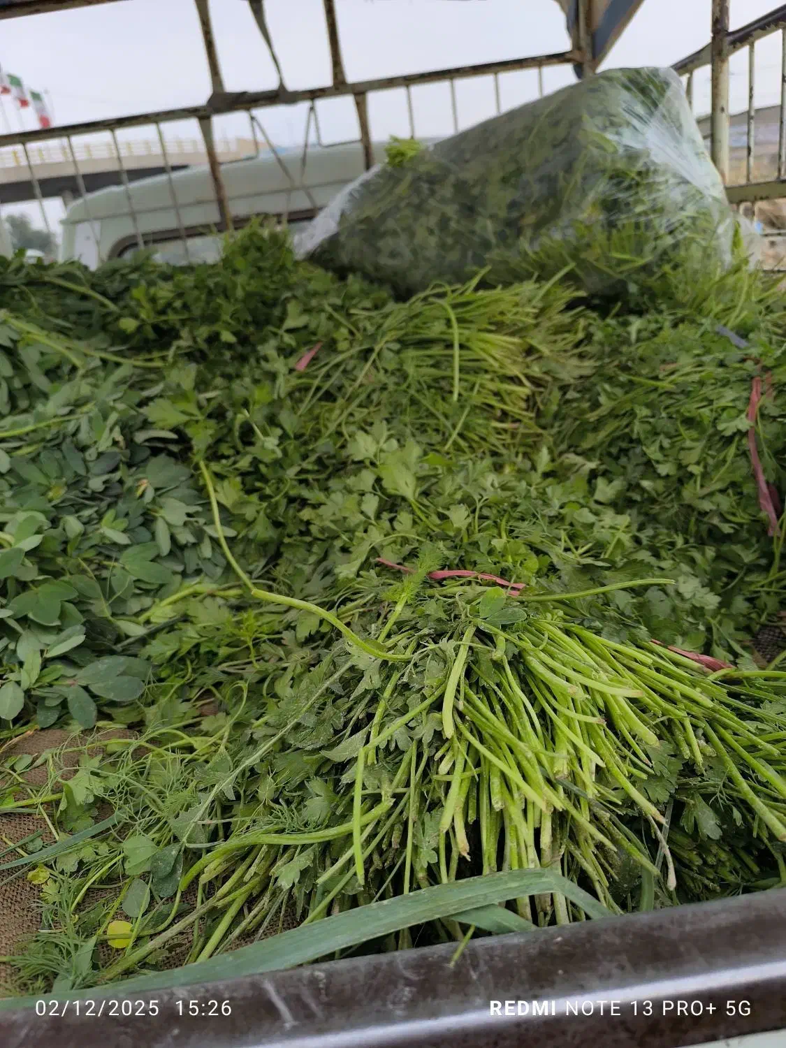 سبزی پخته خوزستان|خوردنی و آشامیدنی|فولادشهر, مسکن مهر فولادشهر|دیوار