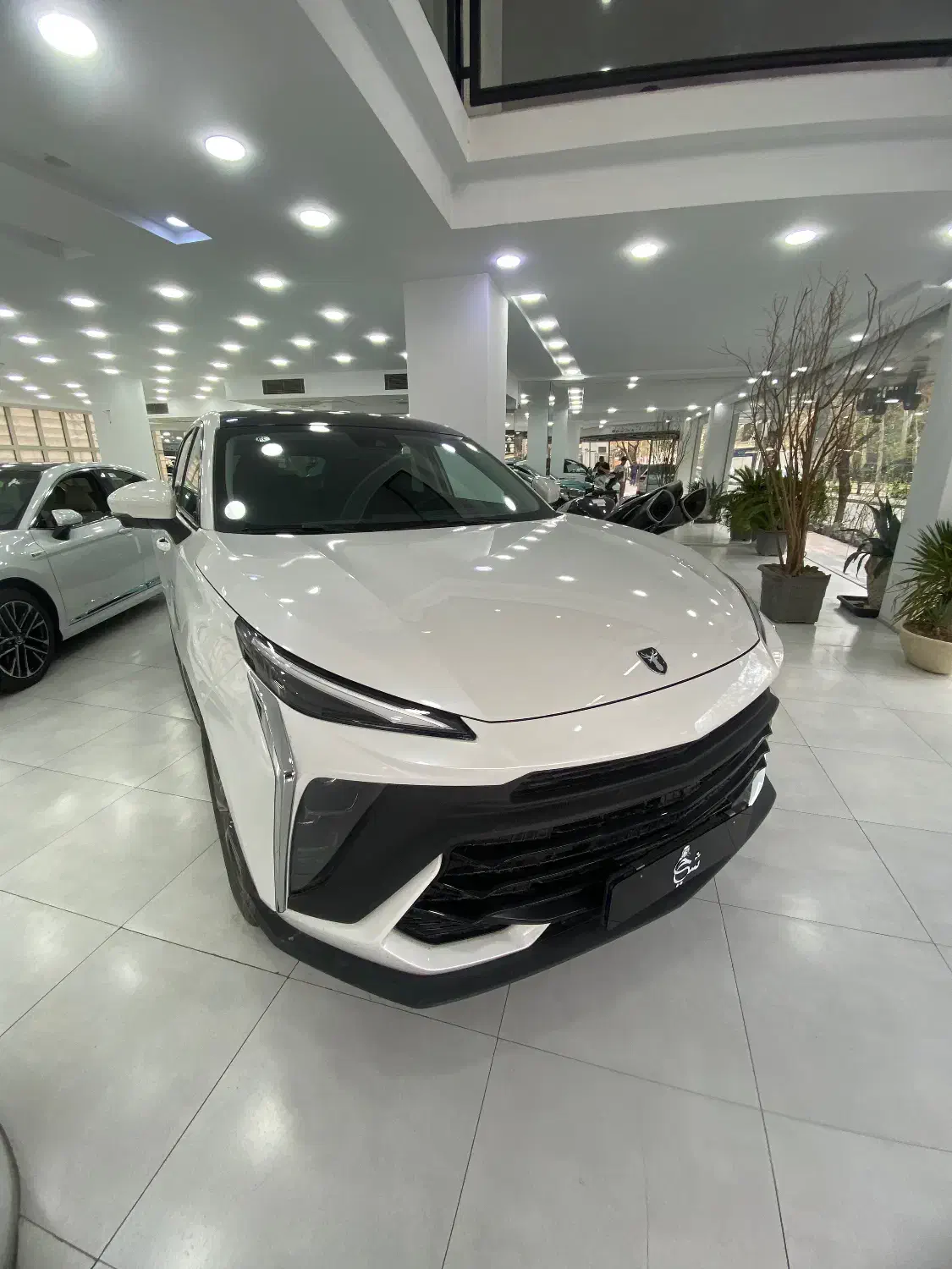 LAMARI EAMA 2025|خودرو سواری و وانت|تهران, ولنجک|دیوار