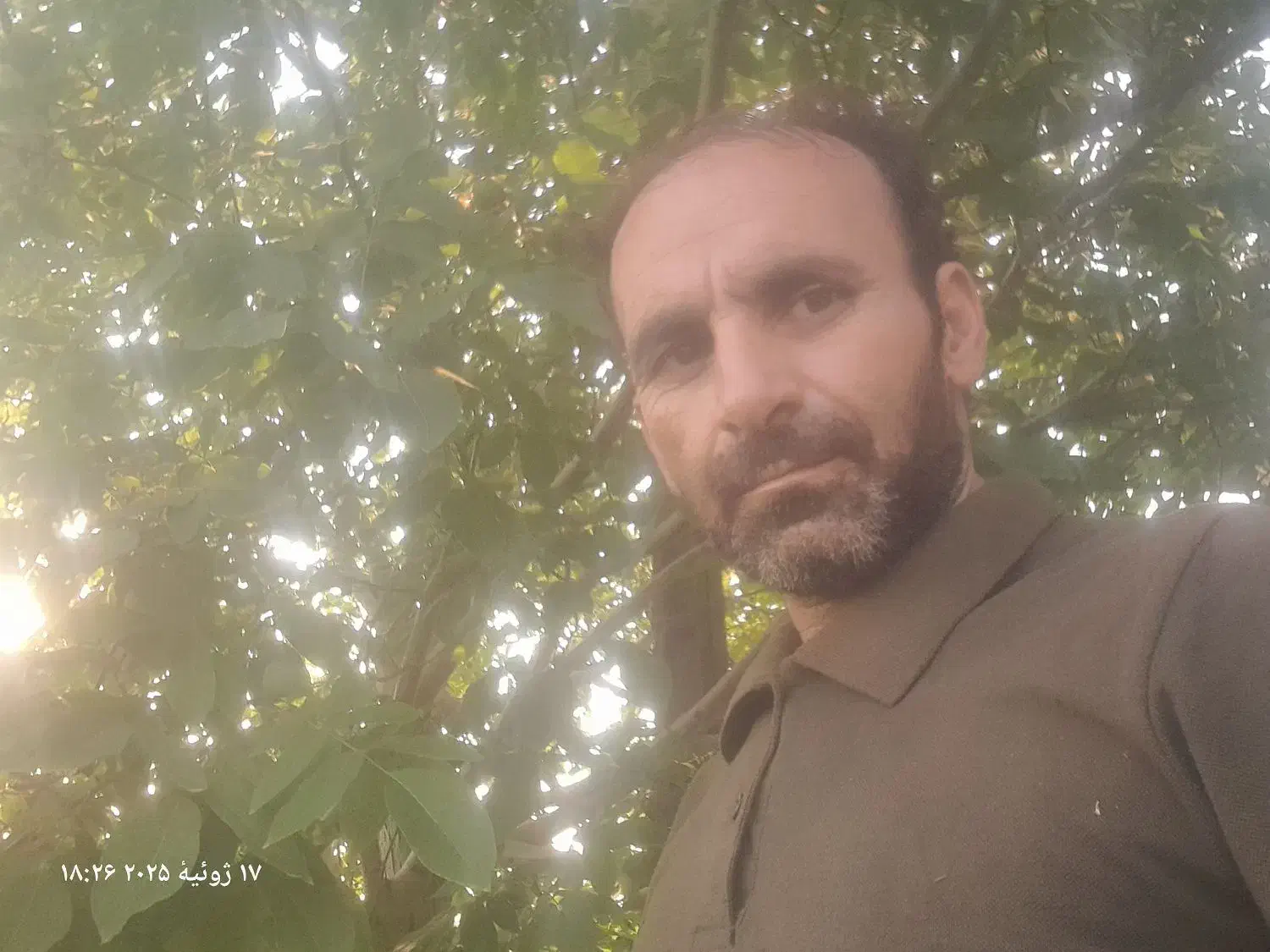 مدارک گمشده|اشیا|رشت, پل تالشان|دیوار