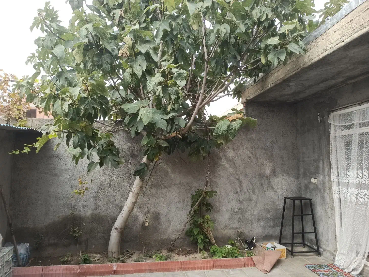 فروش منزل مسکونی در محمدیار|فروش خانه و ویلا|محمدبار, |دیوار