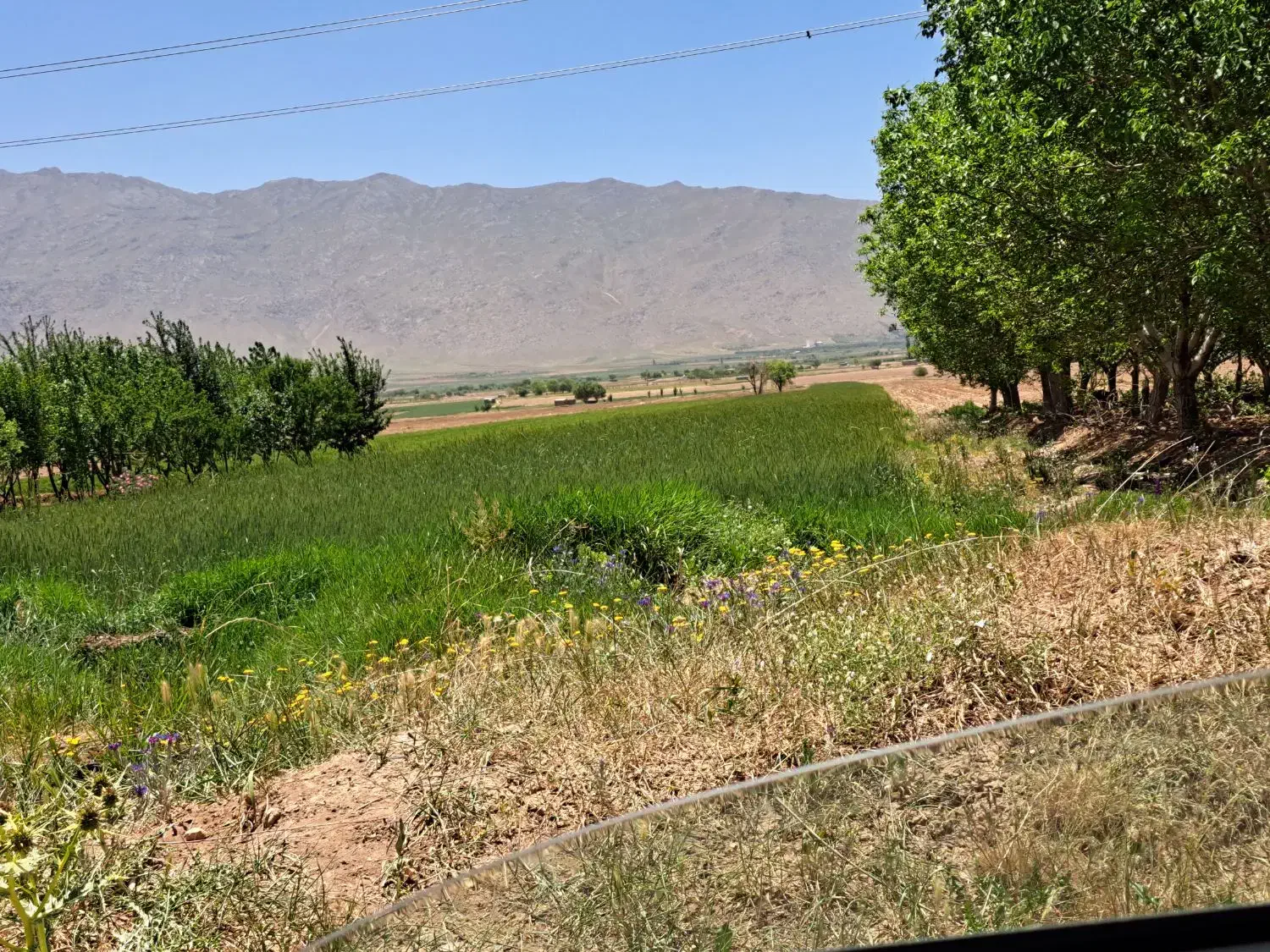 فروش زمین کشاورزی|فروش دفتر صنعتی، کشاورزی، تجاری|اراک, |دیوار