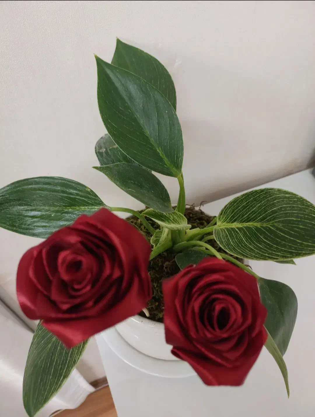 گل روبانی|گل مصنوعی|اصفهان, رزمندگان|دیوار