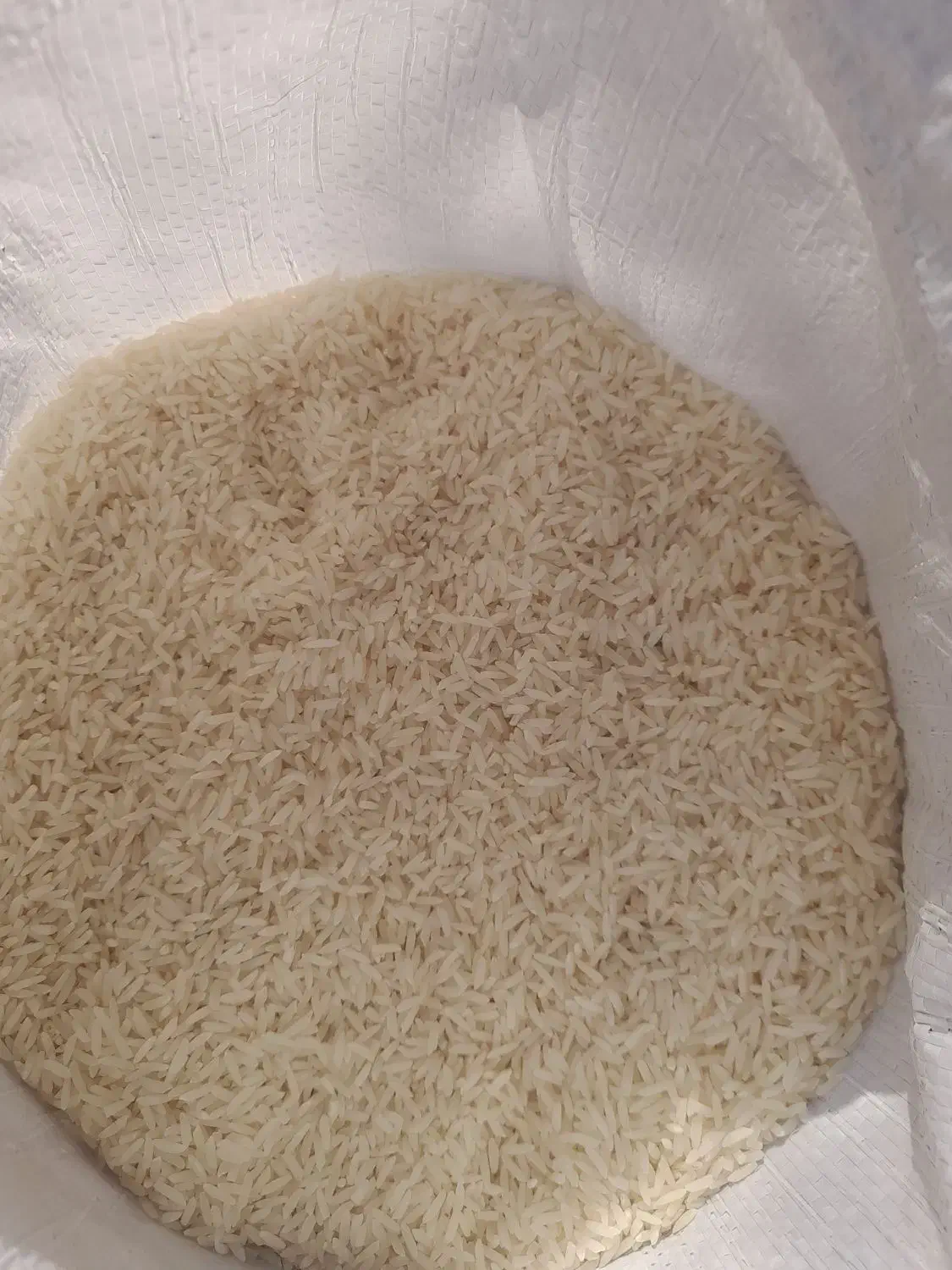 برنج کشت اول ودنوج|خوردنی و آشامیدنی|ساری, |دیوار