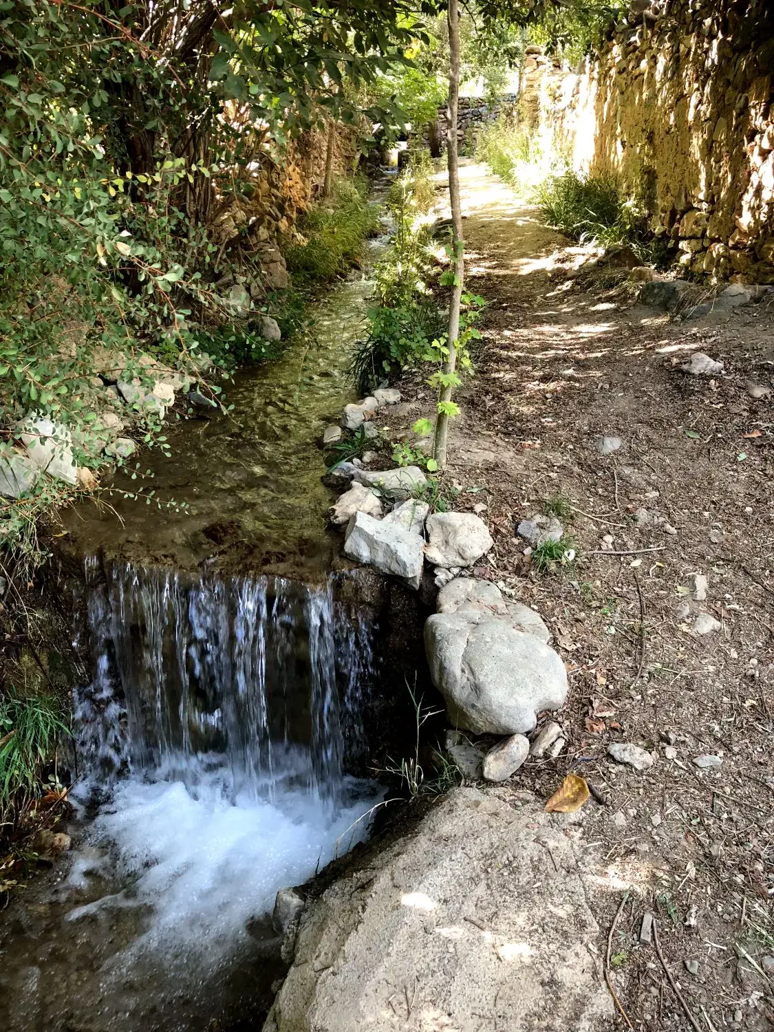زمین باغ  ۶۵۰ متری فروشی در روستای کشه رایان نطنز|فروش زمین و ملک کلنگی|اصفهان, شهرستان|دیوار