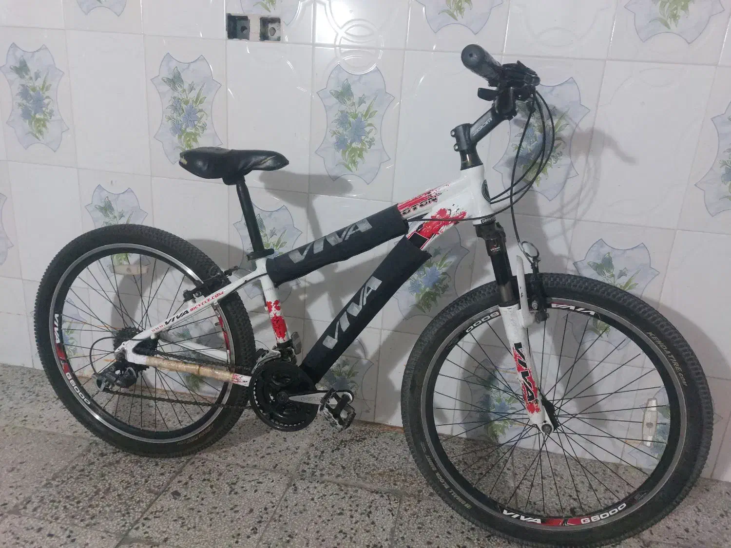 دوچرخه ۲۶تنه کوتاه اصل ویوا|دوچرخه، اسکیت، اسکوتر|مرودشت, ژیان|دیوار