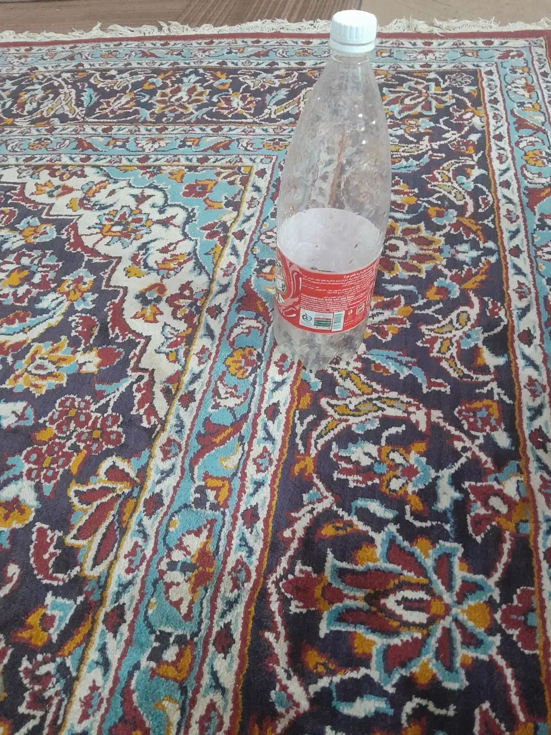 ۱۵۰ عدد بطری نوشابه|ظروف نگهدارنده، پلاستیکی، یکبارمصرف|تایباد, |دیوار