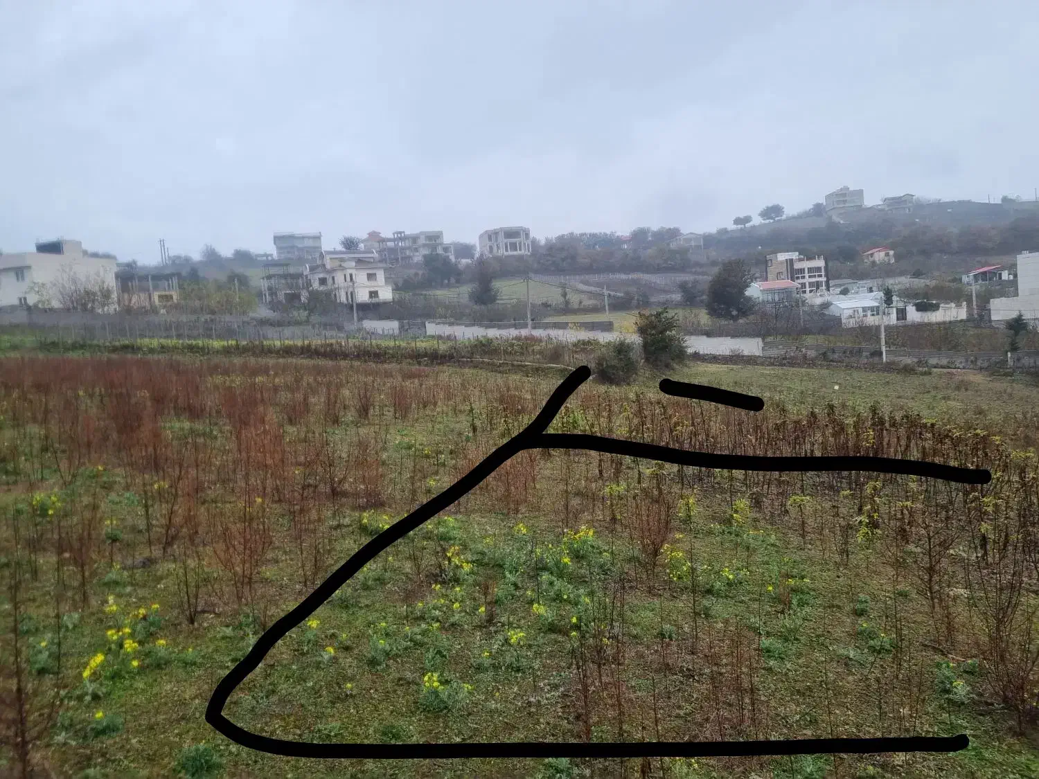 ۶۰۰متر زمین باغی شیرکوه رحمت اباد|فروش زمین و ملک کلنگی|توتکابن, |دیوار