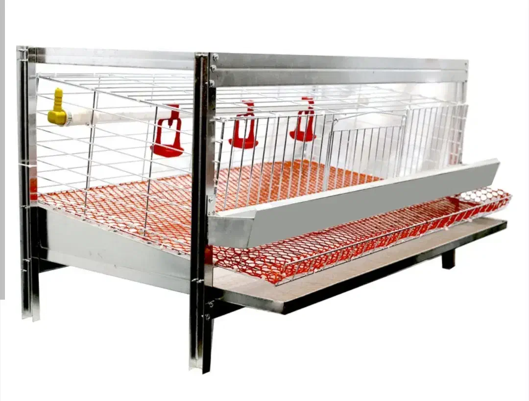 قفس بلدرچین|لوازم جانبی حیوانات|کاکی, |دیوار