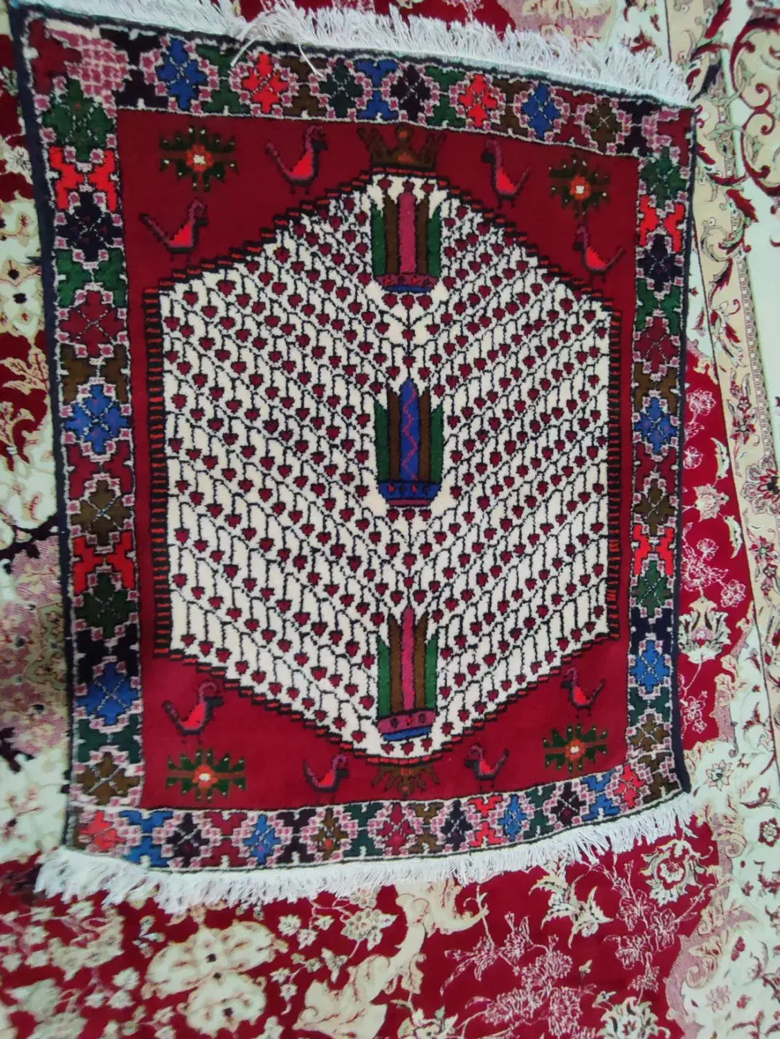 قالی دستبافت|گلیم، جاجیم، گبه|قزوین, |دیوار