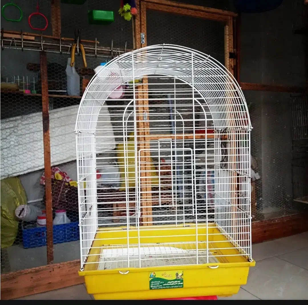 قفس|لوازم جانبی حیوانات|کنارک, |دیوار