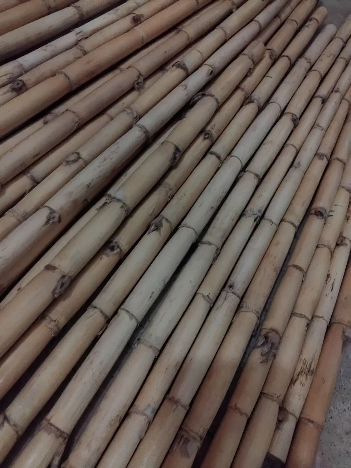 نی خام|سازهای بادی|تهران, زهتابی|دیوار