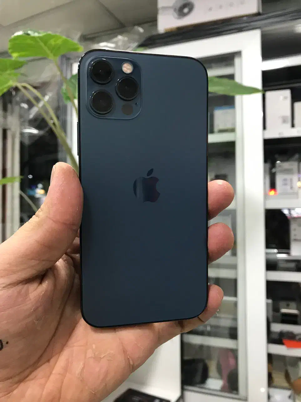 iPhone 12 Pro 256 zaa گوشی اپل پک اصلی|موبایل|شیراز, فخرآباد (دروازه کازرون)|دیوار