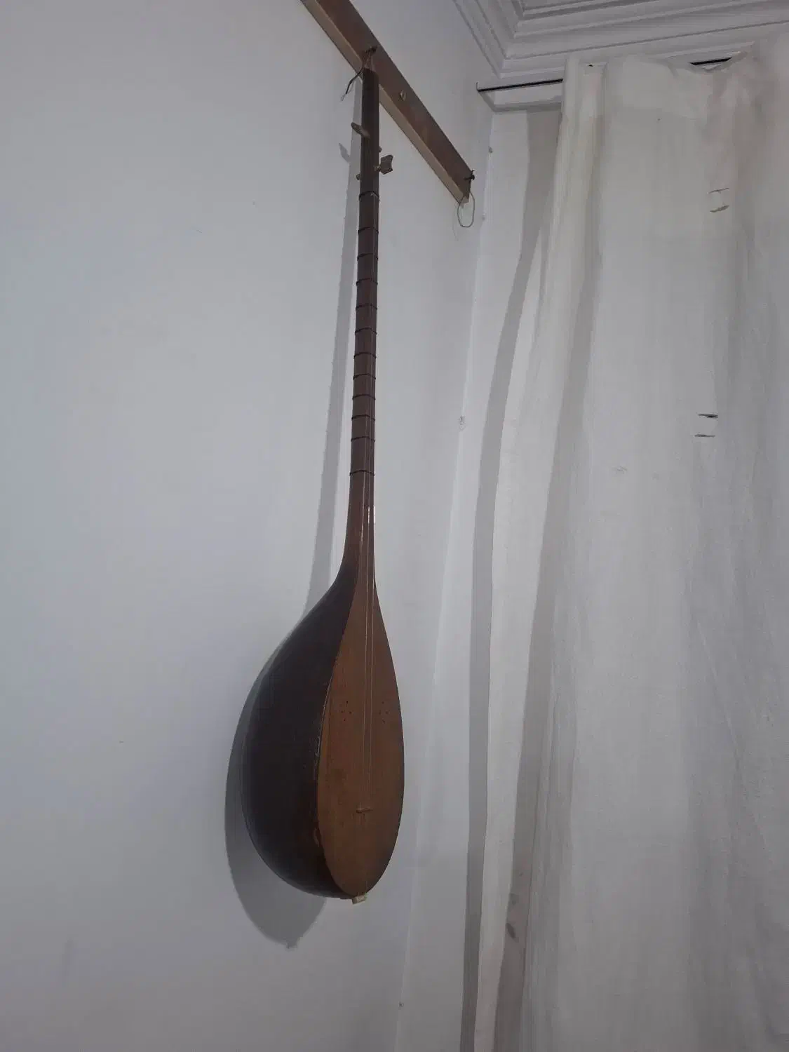 ساز دو تار مشهد|سازهای سنتی|قدس, شهر‌قدس|دیوار