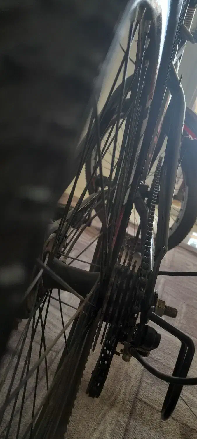 دوچرخه|دوچرخه، اسکیت، اسکوتر|سبزوار, قاضی زاد|دیوار