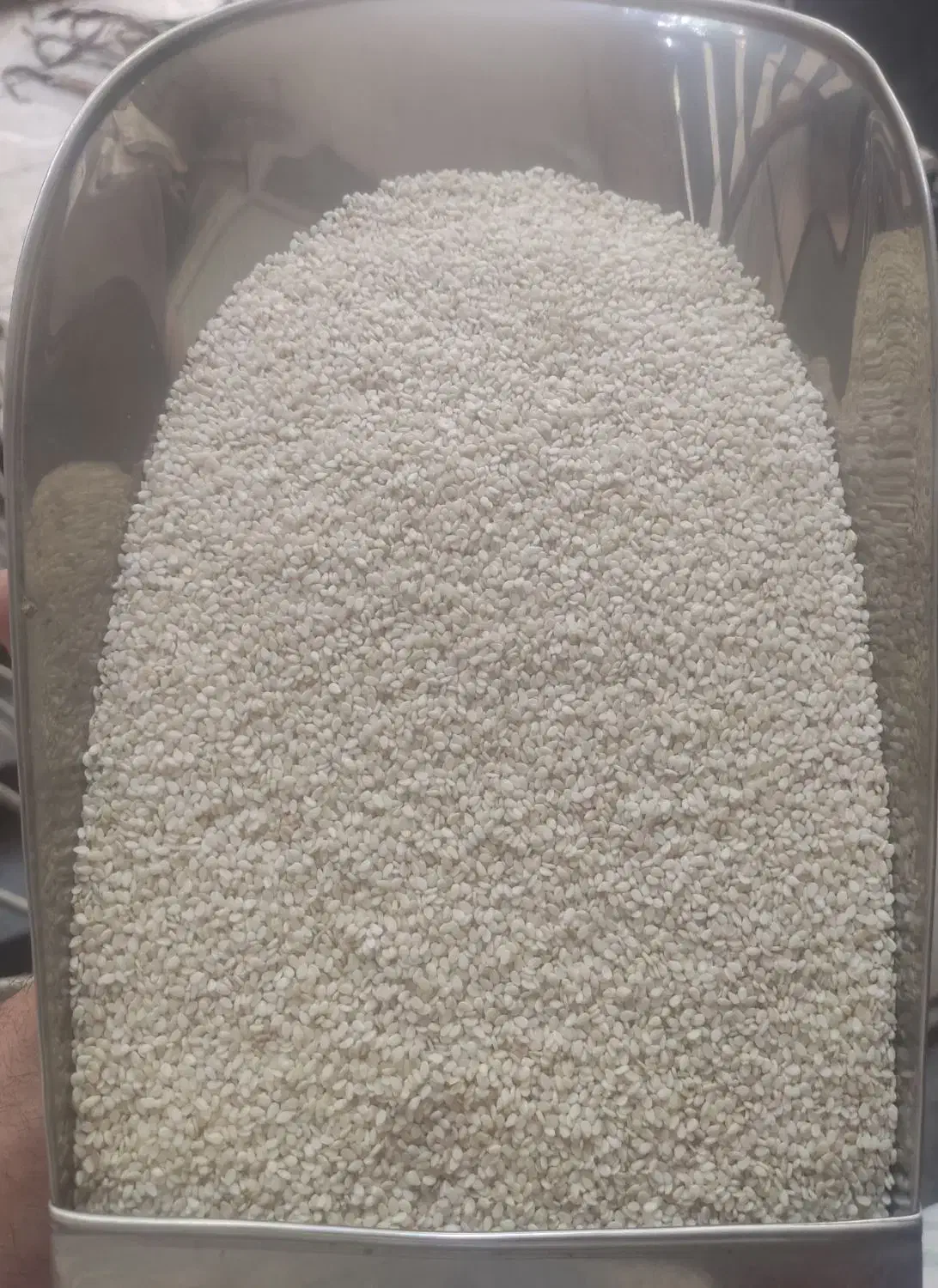 کنجد‌. مایه|خوردنی و آشامیدنی|تهران, مطهری|دیوار