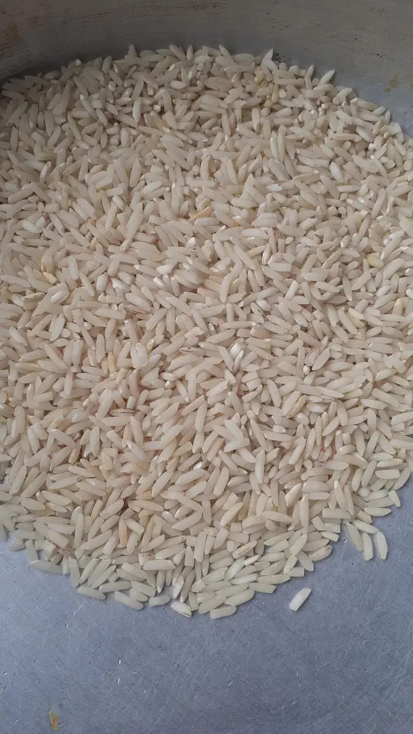 برنج هاشمی|خوردنی و آشامیدنی|کلاچای, |دیوار