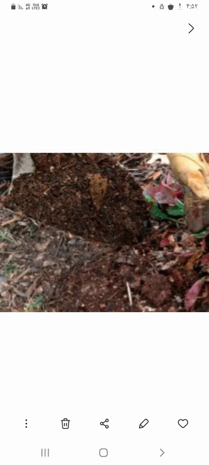 کود برگ و دامی|خدمات باغبانی و درختکاری|مبارکه, |دیوار