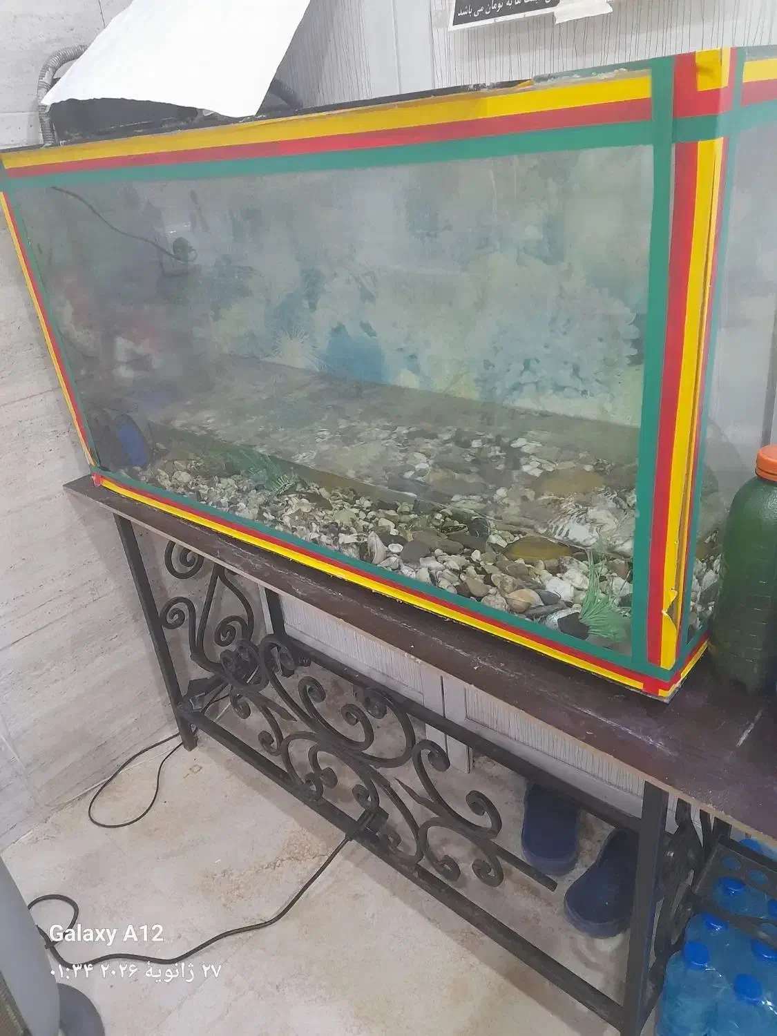 اکوایوم بزرگ|ماهی|خشکبیجار, |دیوار