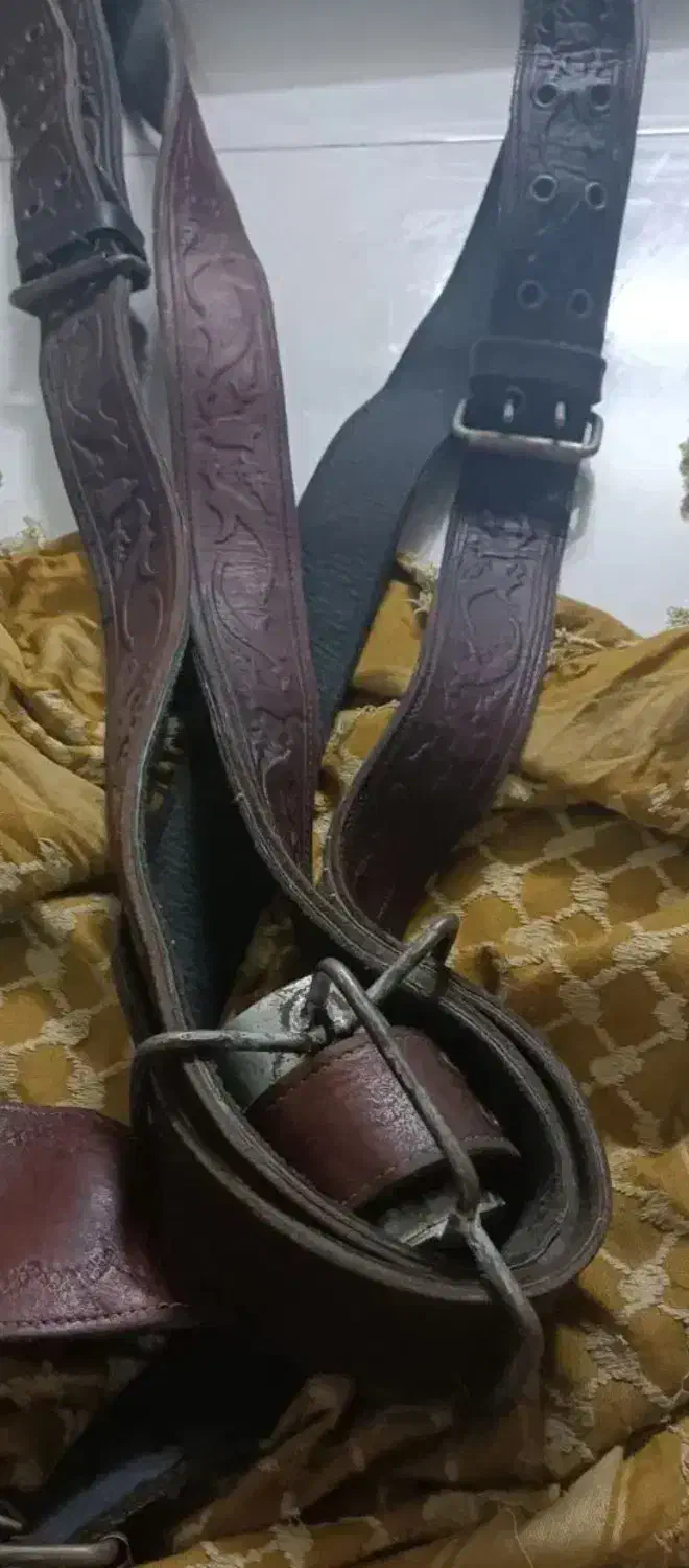 هیکلی|کیف، کفش، کمربند|قرچک, دانشگاه پیام نور قرچک|دیوار