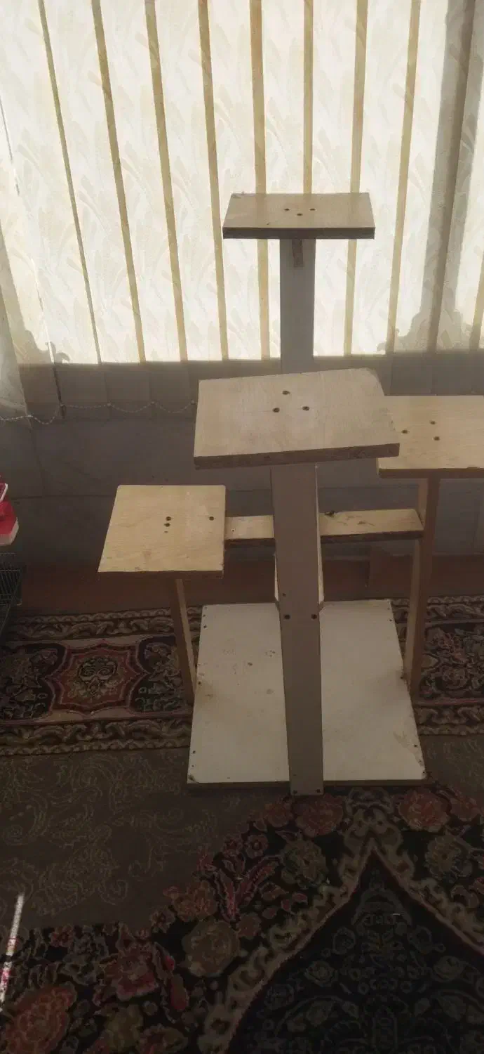 استند|گل و گیاه طبیعی|یزد, |دیوار