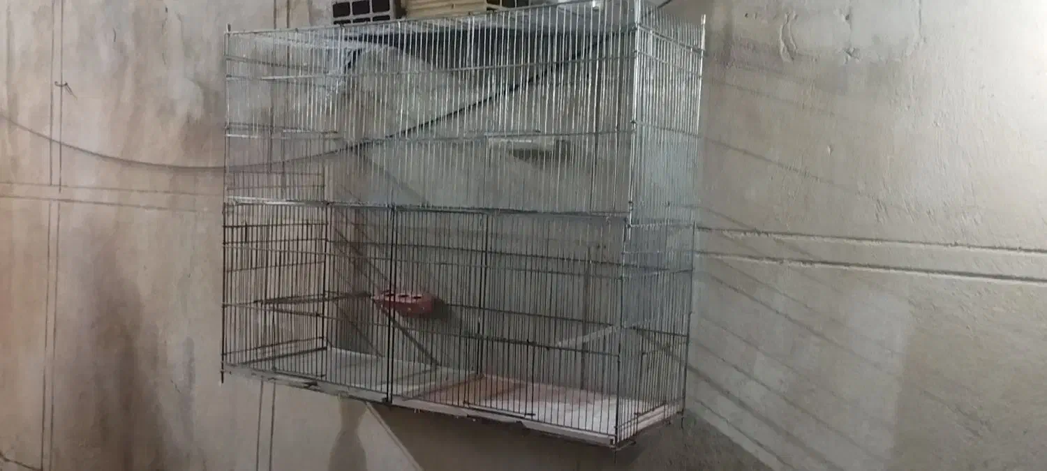 آکواریوم،قفس|حراج|قزوین, |دیوار