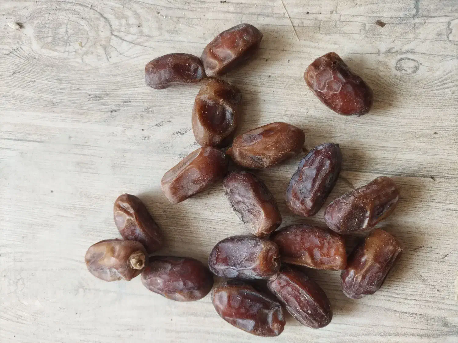 خرما استعمران صادراتی درجه یک یک|عمدهفروشی|شادگان, |دیوار