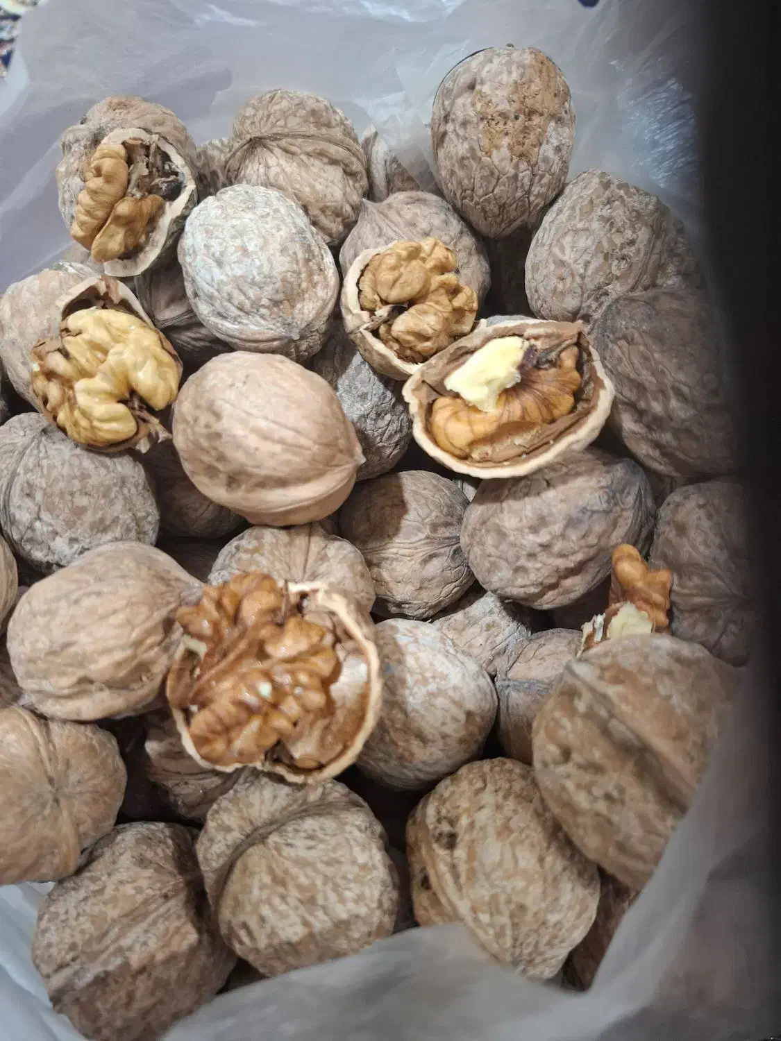 گردو درگز|خوردنی و آشامیدنی|درگز, |دیوار