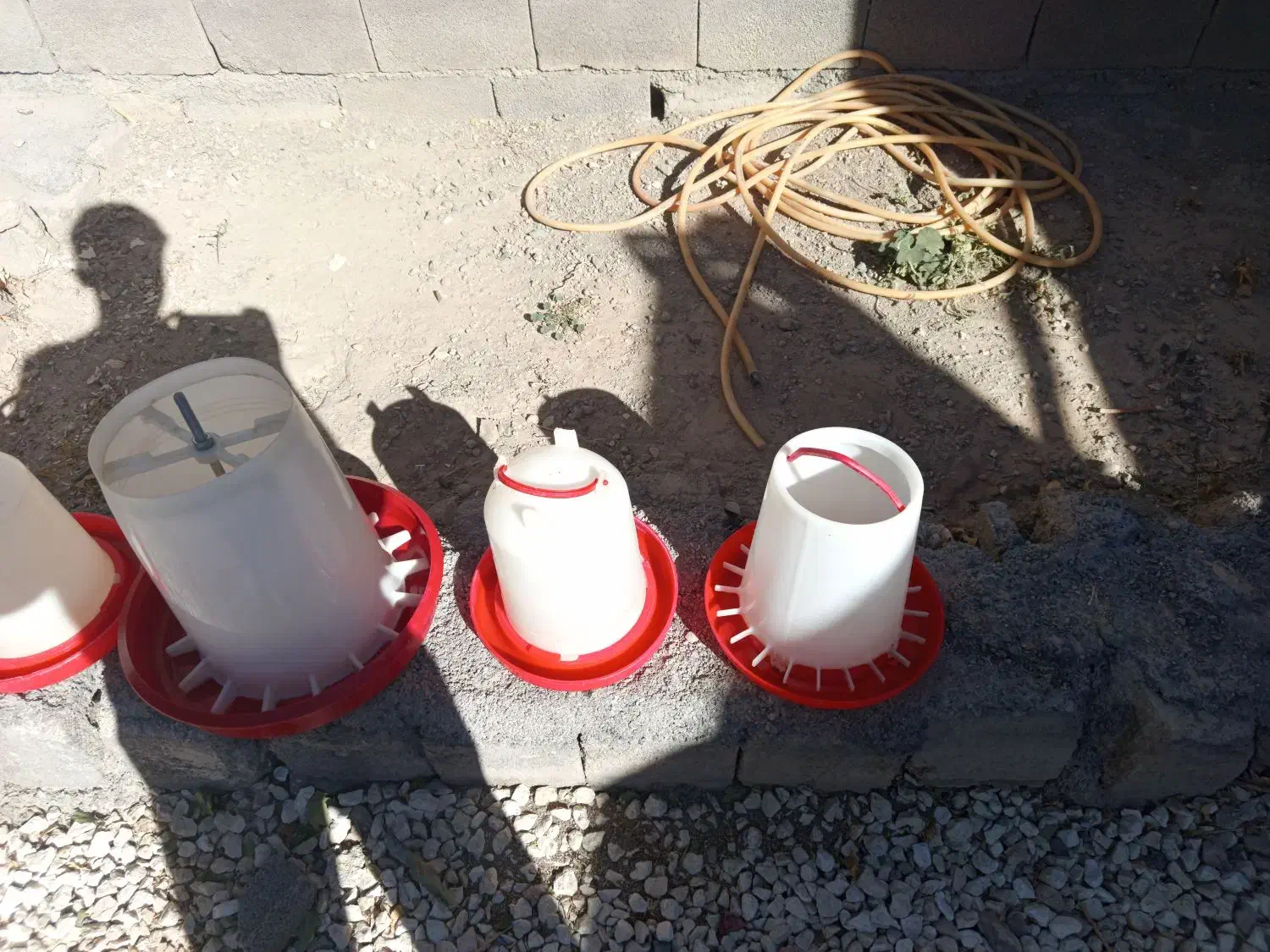 دونخوری و آبخوری|لوازم جانبی حیوانات|کبودرآهنگ, |دیوار