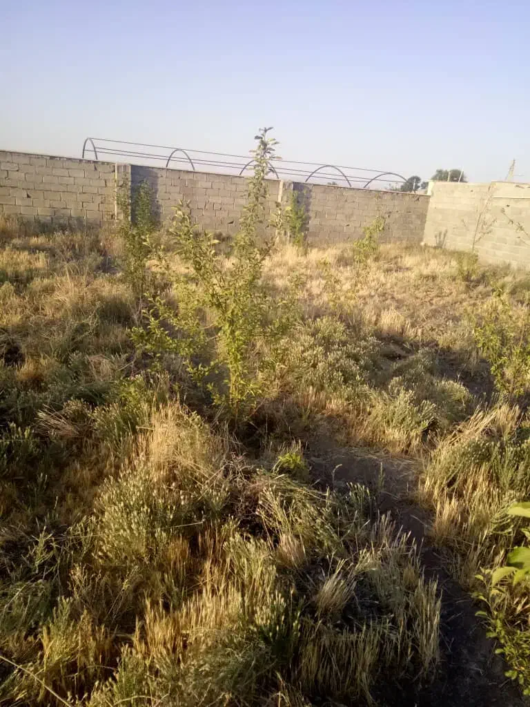 فروش باغچه|فروش زمین و ملک کلنگی|تنکمان, |دیوار