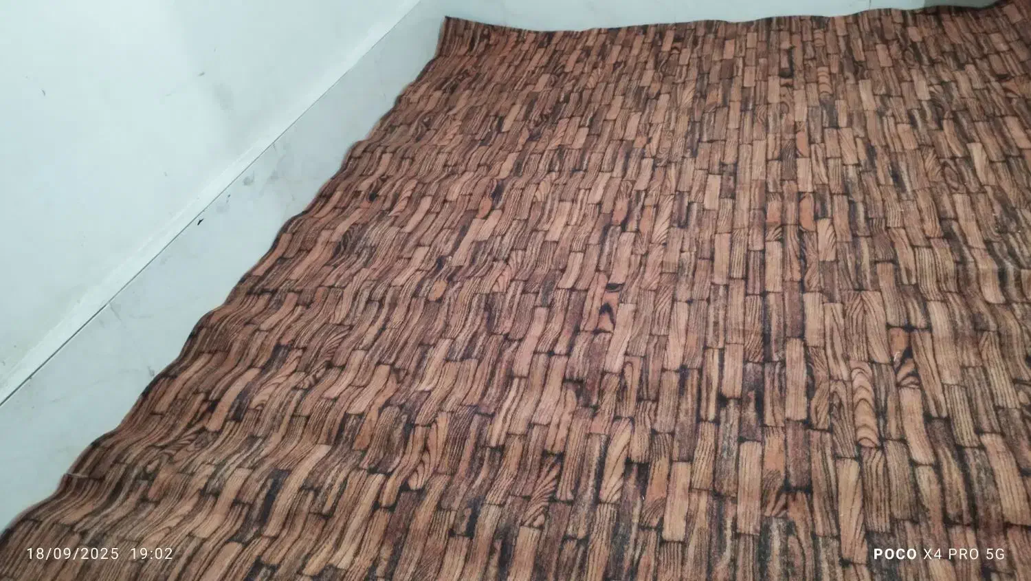 موکت طرح جدید|موکت|گنبد کاووس, |دیوار