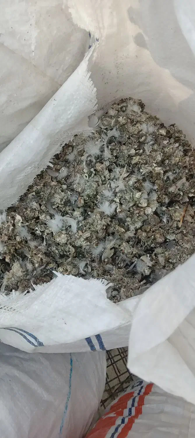 کود کفتر|خدمات باغبانی و درختکاری|مشکین‌دشت, |دیوار