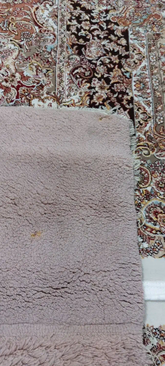 فرش آشپزحانه و موکت تشریفات|فرش|ارومیه, |دیوار