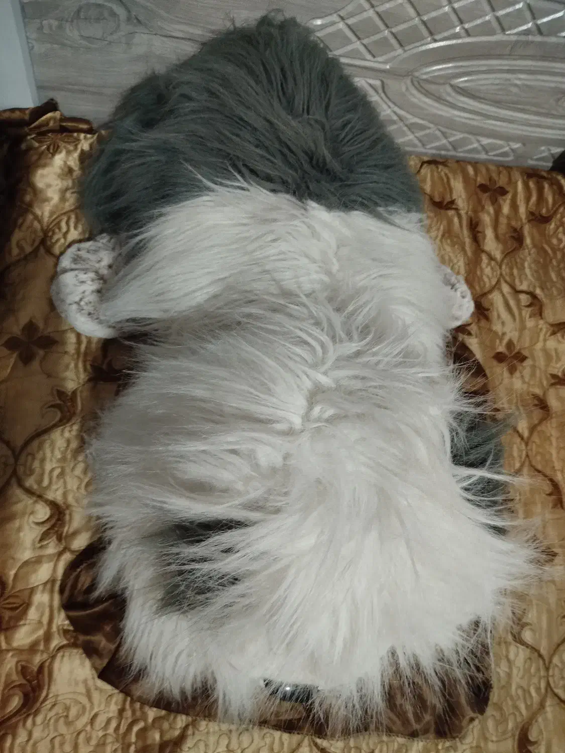 عروسک نماد سگ|اسباببازی بچه|ورامین, ورامین|دیوار