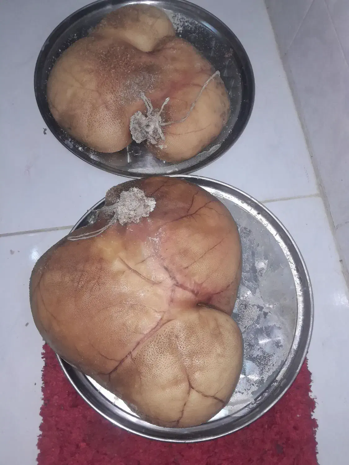 قرمه گوسفندی|خوردنی و آشامیدنی|رفسنجان, |دیوار