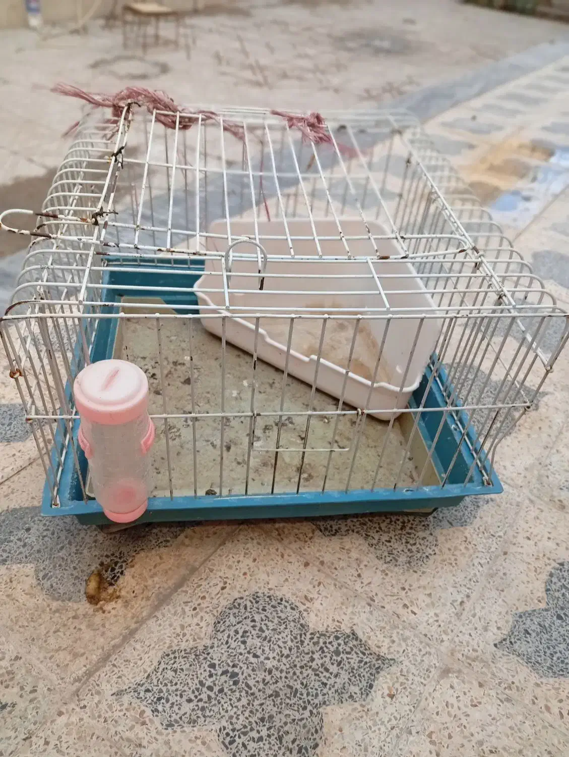 قفس بزرگ خرگوش|لوازم جانبی حیوانات|شیراز, کوشک میدان|دیوار