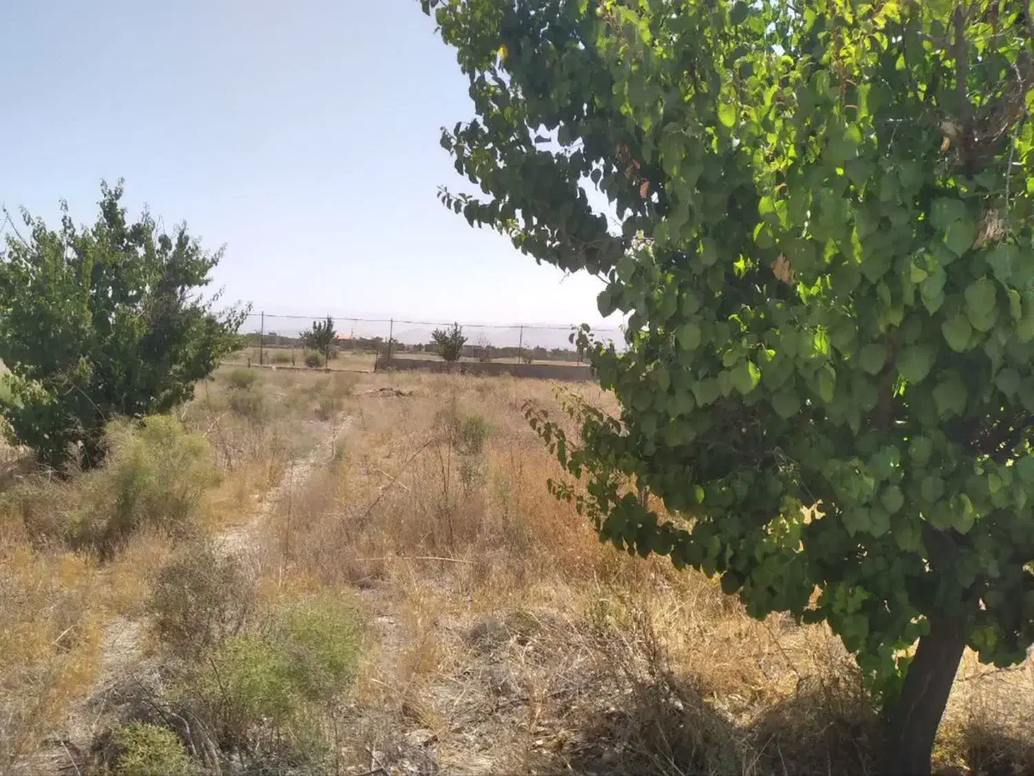 ۱۰۰۰مترزمین باغی محصور|فروش زمین و ملک کلنگی|گلبهار, نوبهار|دیوار