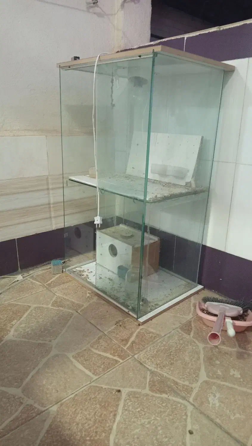 قفس پرنده|لوازم جانبی حیوانات|اهر, |دیوار