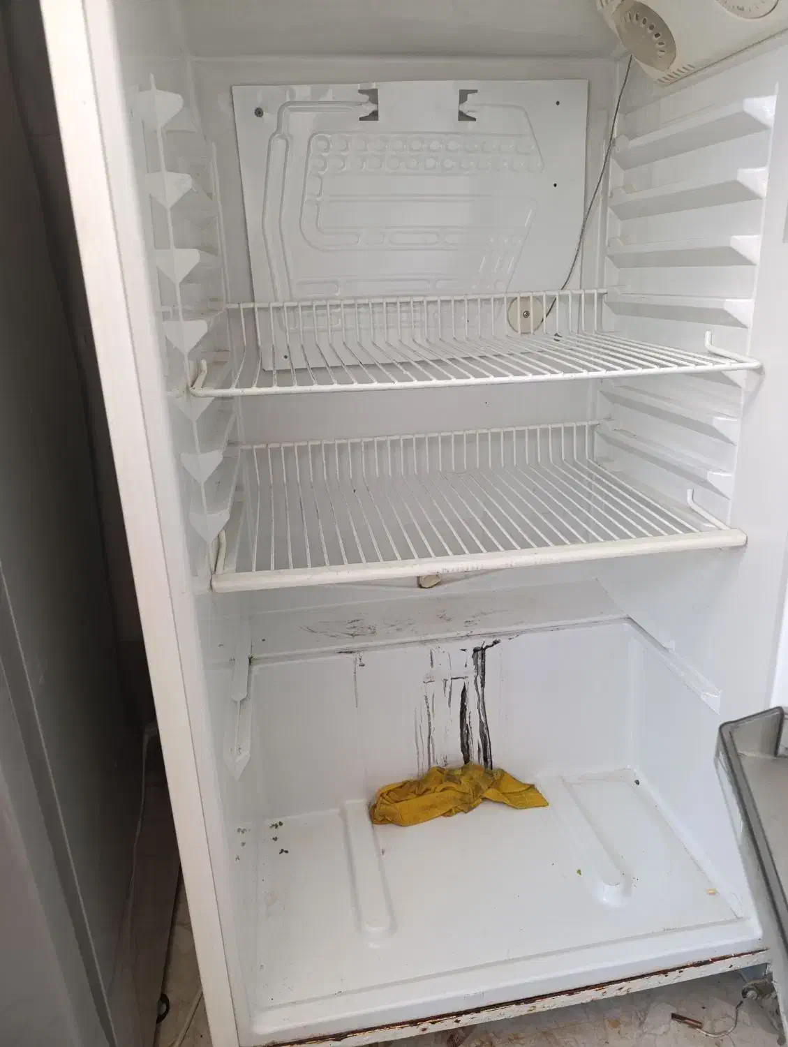 یخچال فریزر فیلور|یخچال و فریزر|کاشمر, |دیوار