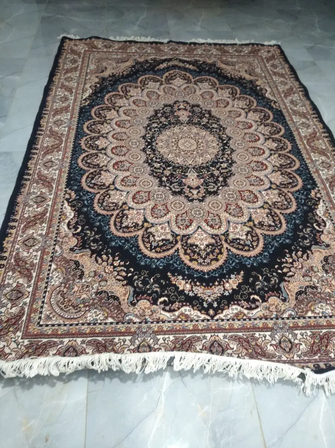 قالی ۶متری|فرش|سنندج, |دیوار