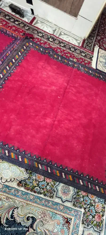 سفره فرش دستباف سنتی|گلیم، جاجیم، گبه|کرمان, |دیوار