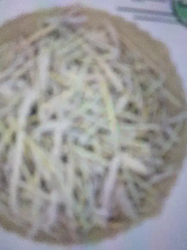 گیاه دارویی|گل و گیاه طبیعی|خوشاب, |دیوار