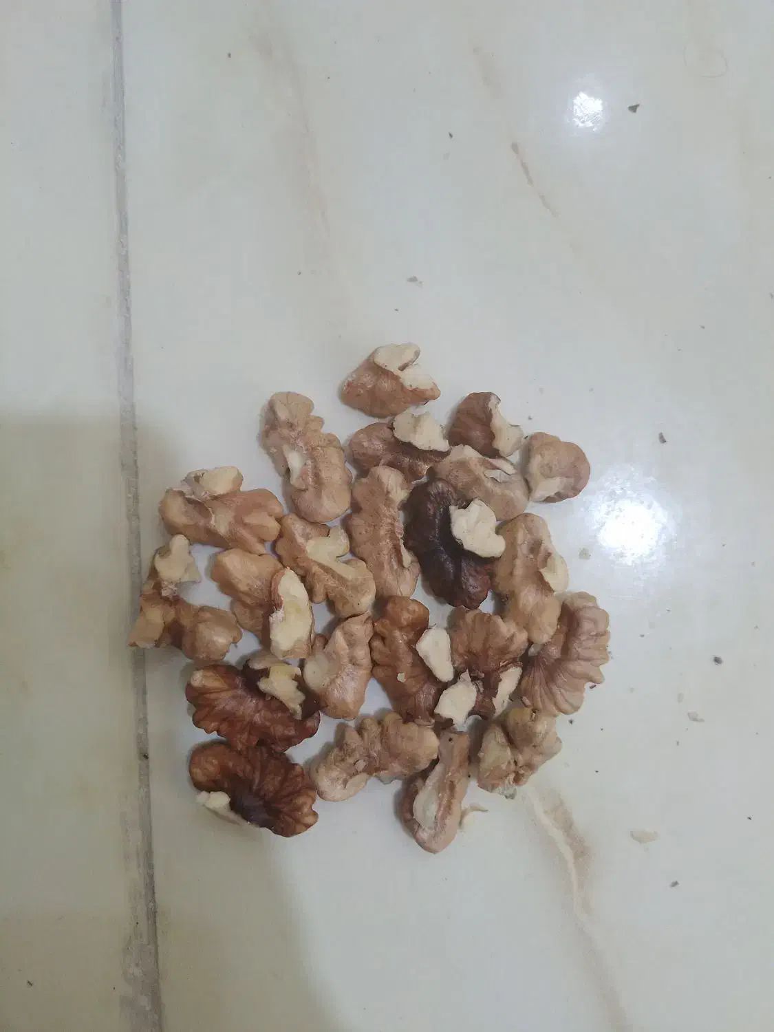 گردو|خوردنی و آشامیدنی|شیراز, امام حسین|دیوار