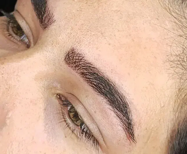 تخفیف بی سابقه آرایش دائم و تتو|خدمات آرایشگری و زیبایی|زنجان, |دیوار