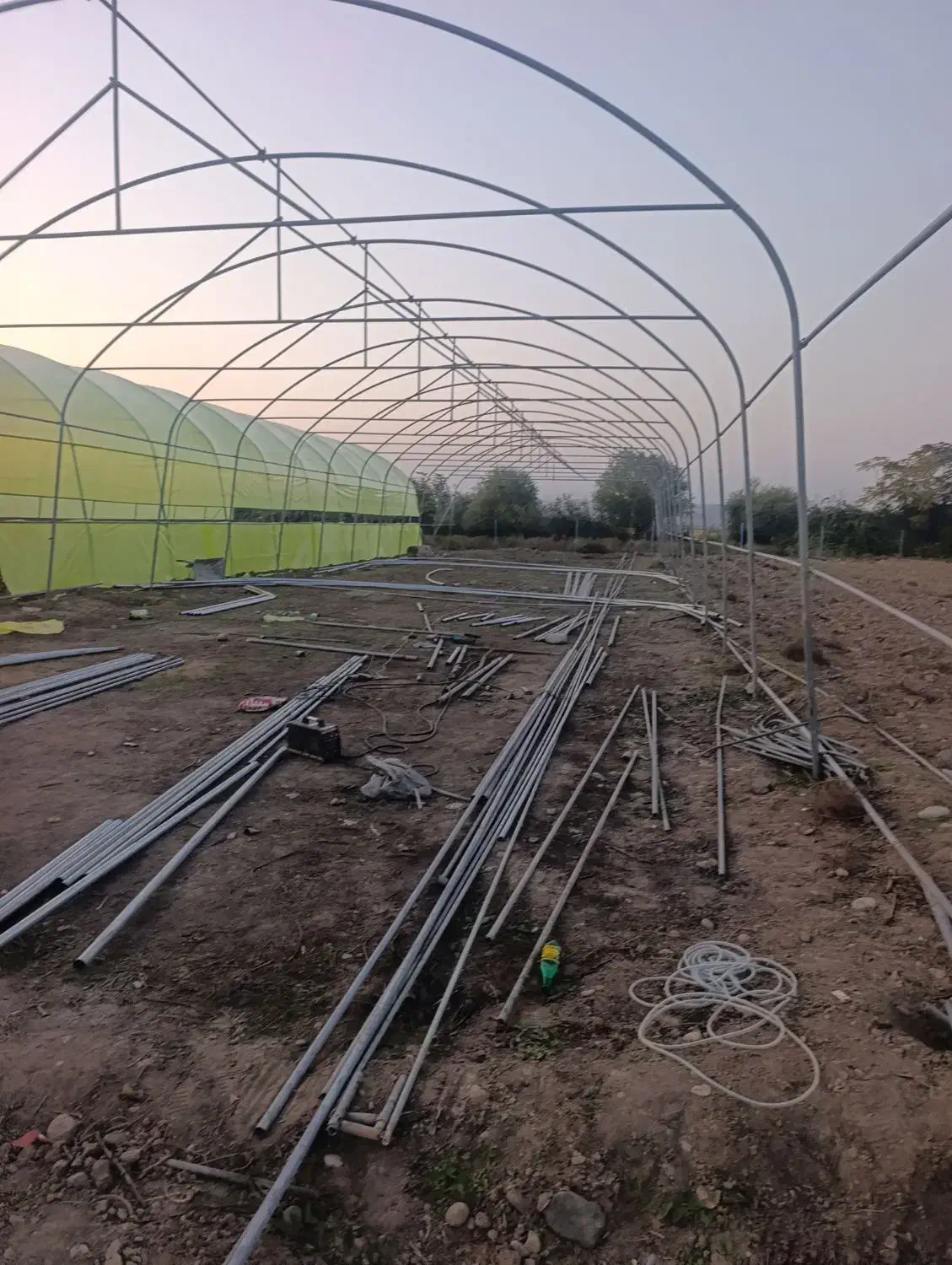 گلخانه|عمدهفروشی|اردبیل, |دیوار